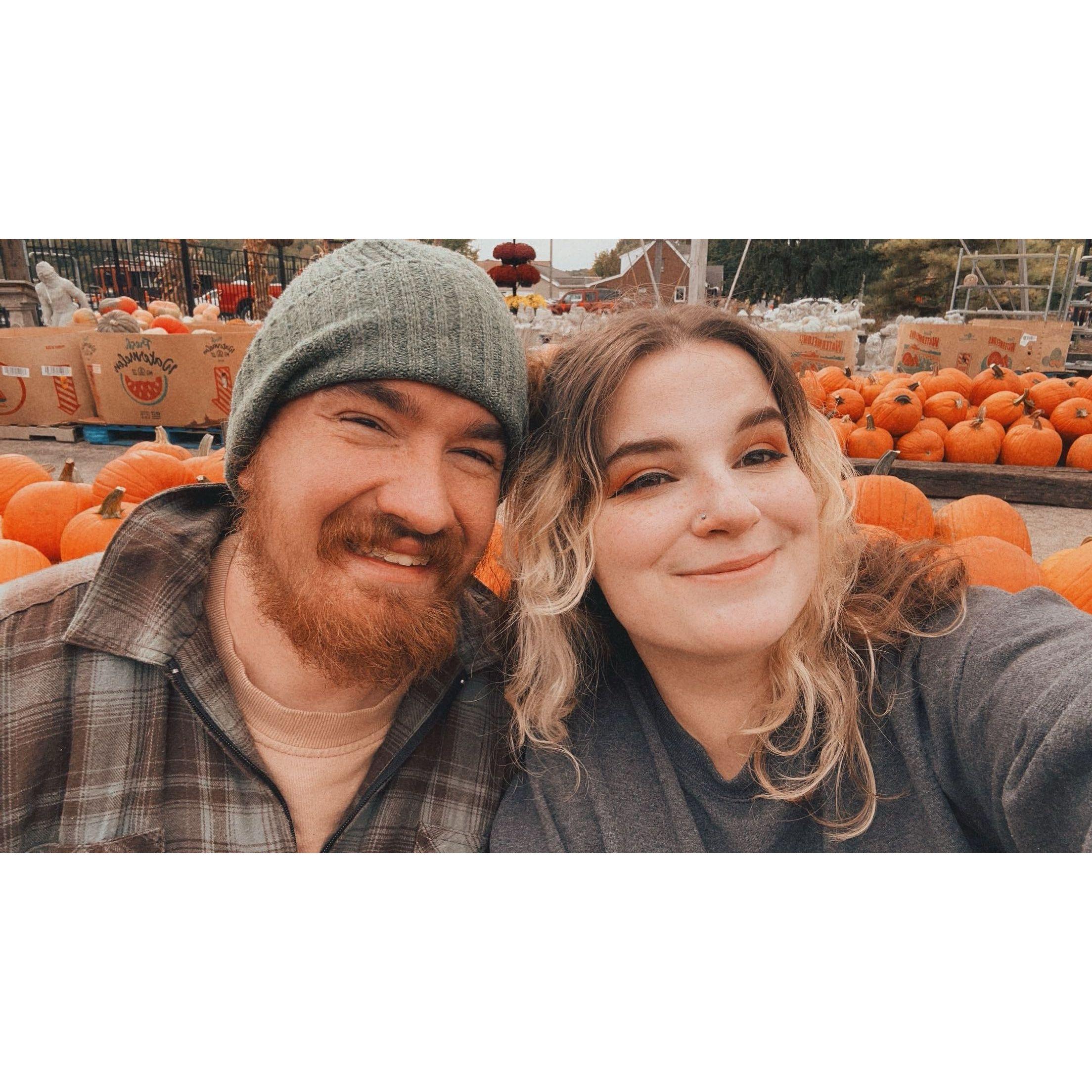 pumpkin patch time of the year