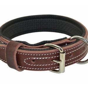 Ultimate Padded Leather Agitation Collar