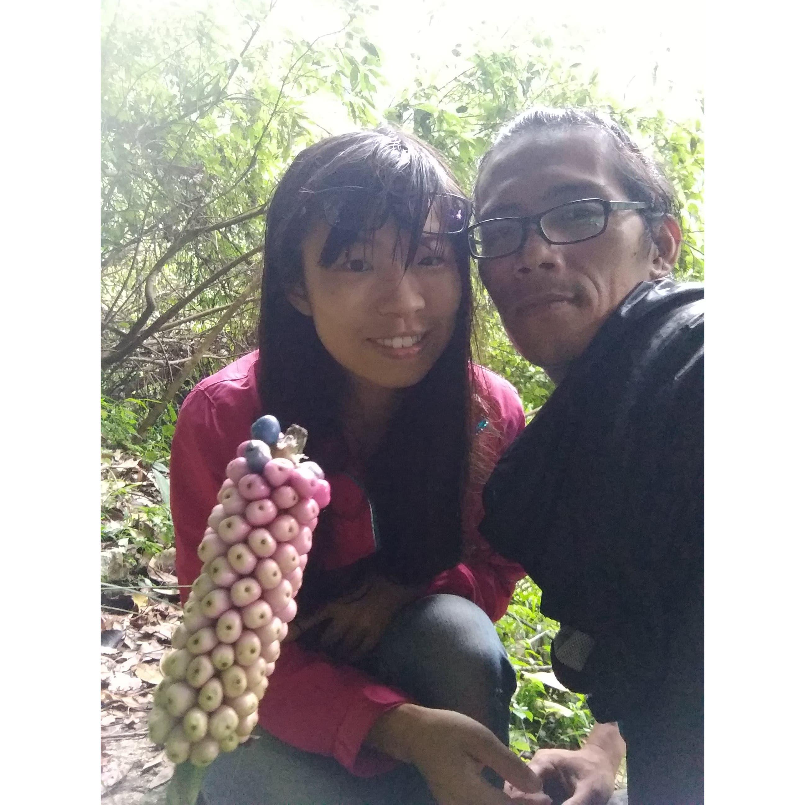 在尖石山上看瀑布。