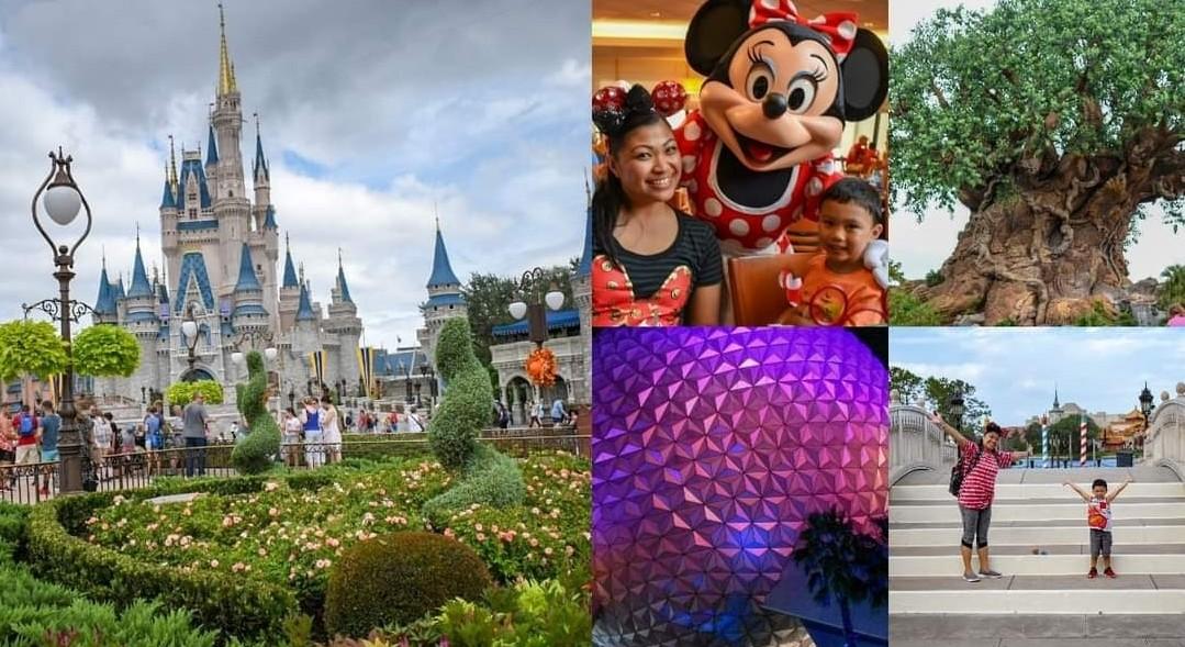 The Wedding Website of Amay Hoffmann and Michael Hoffmann