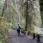 Wallace Falls State Park