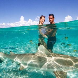Snorkle with Sharks and Rays