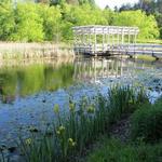 Cornell Botanic Gardens