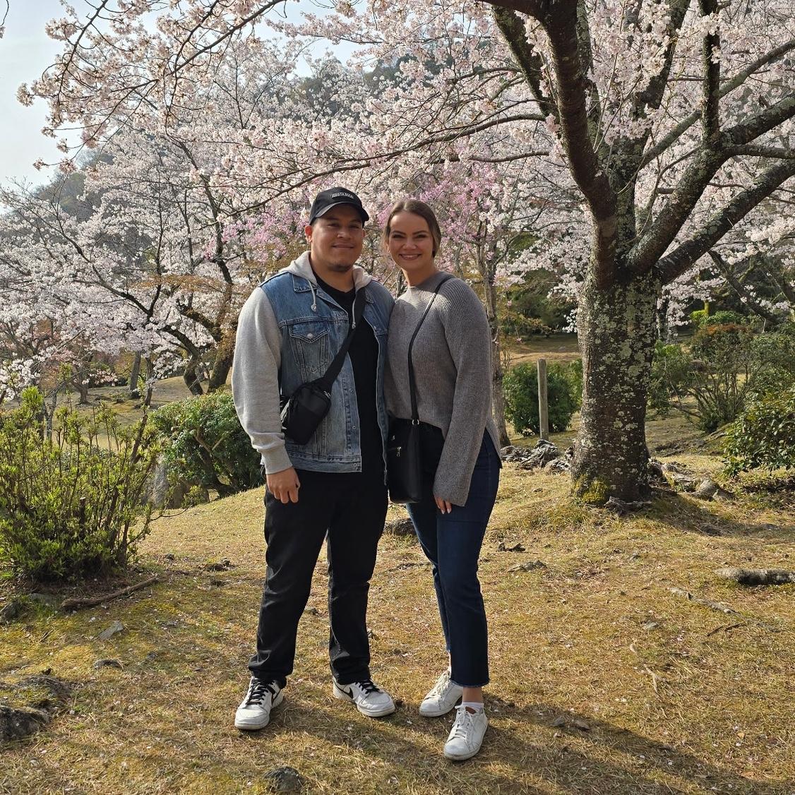 Kyoto, Japan - April 2025
