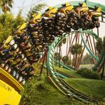 Busch Gardens Tampa Bay