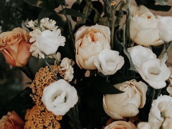 The Wedding Website of Emily Gilliam and Brandon Jimpkoski