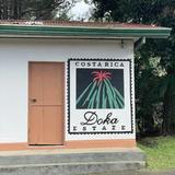 Hacienda Doka - Coffee Plantation Tour