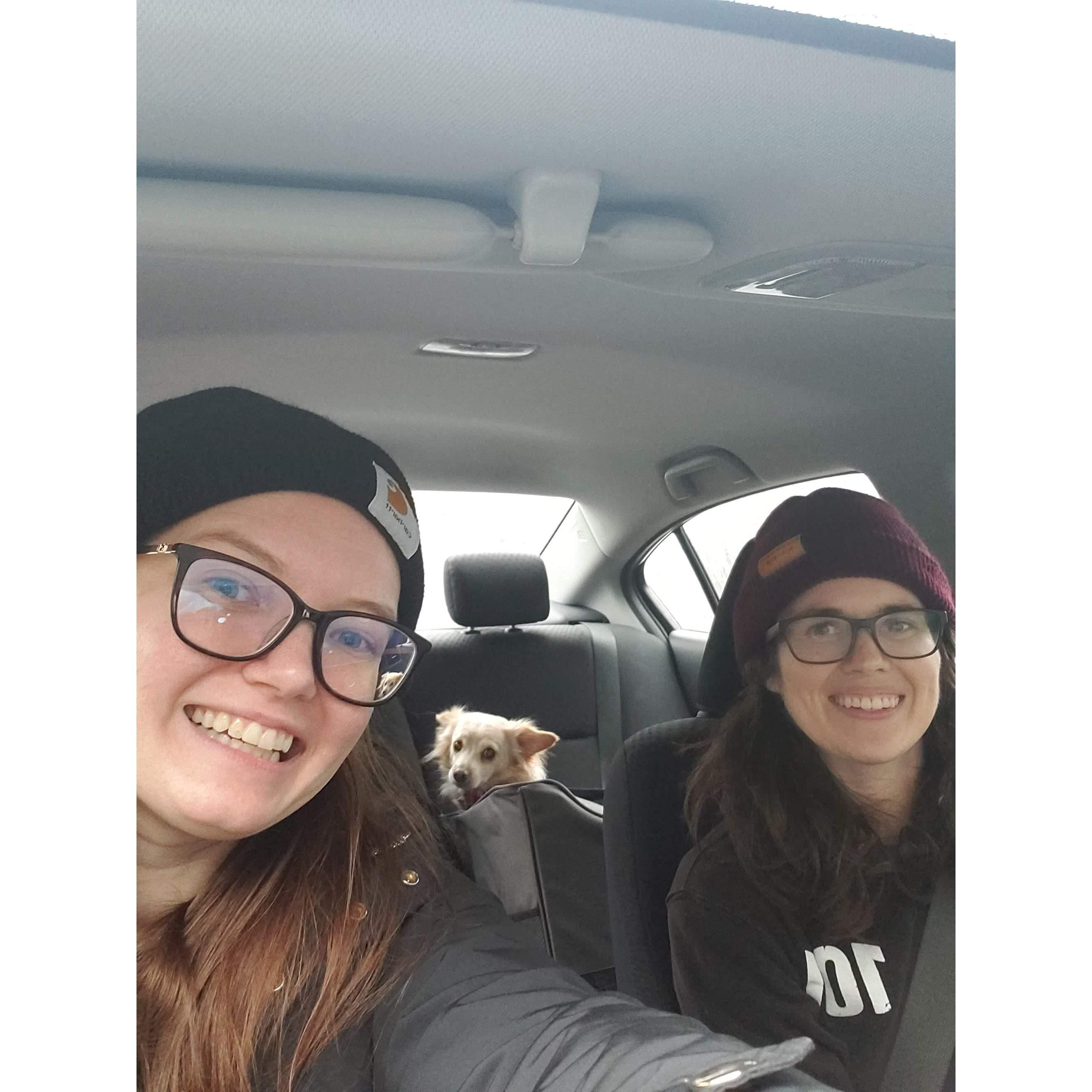 Dec 2021 - Blizzard Driving! Eevee Included