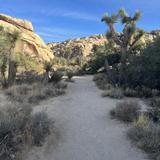 Joshua Tree National Park - the most beautiful hiking