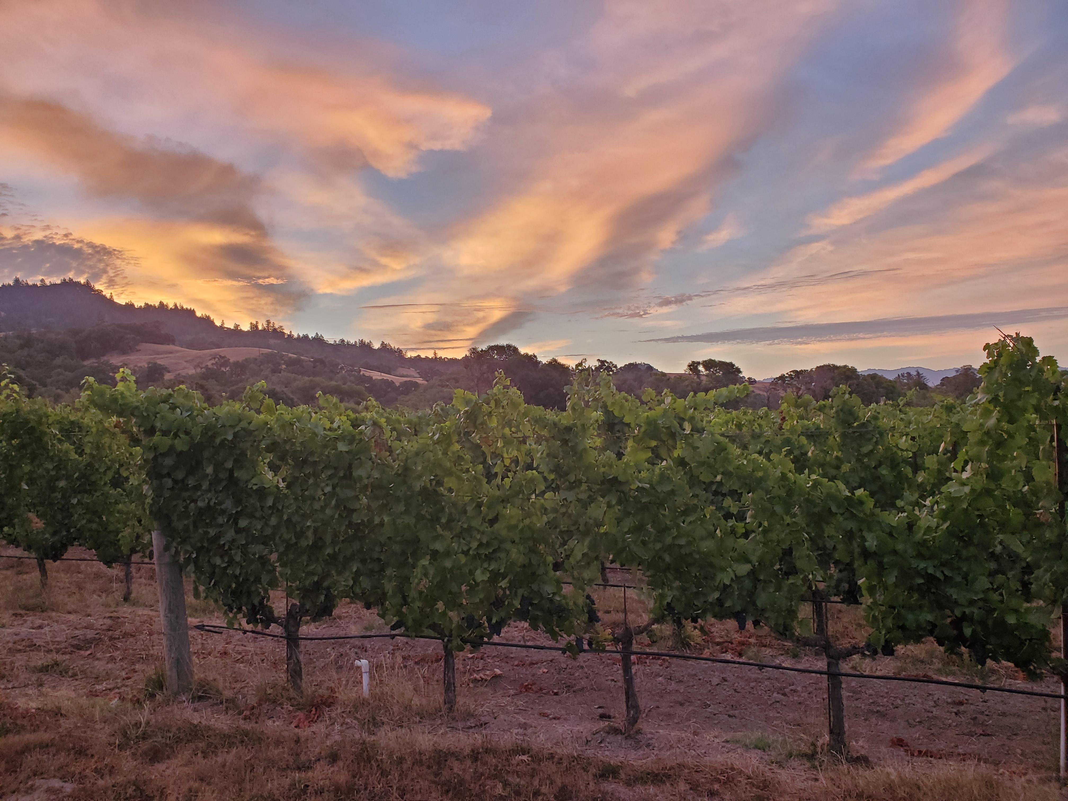 4d1470da-f226-428f-846e-ac841571cfd5