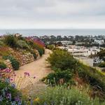 Ventura Botanical Gardens