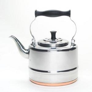 BonJour Tea Stainless Steel and Copper-Base Gooseneck Teapot / Teakettle, 2-Quart