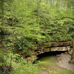 Mammoth Cave National Park- one of the largest cave systems in the world.