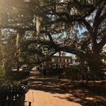Crawford Square