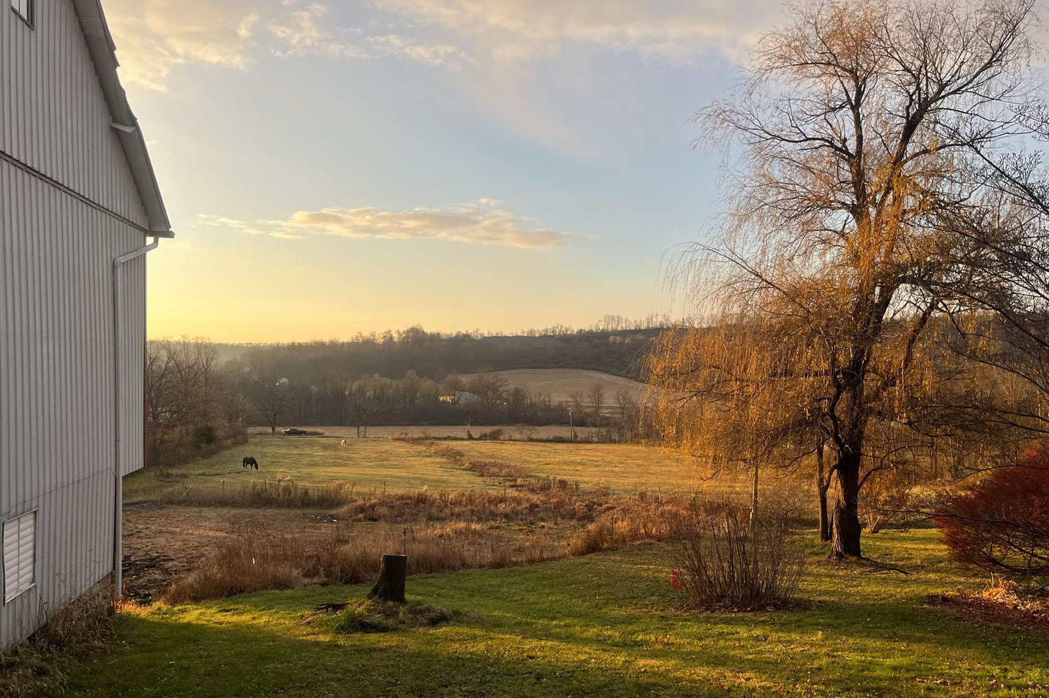The Wedding Website of Emily Haas and Jay Besch