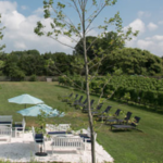 Jamesport Vineyards