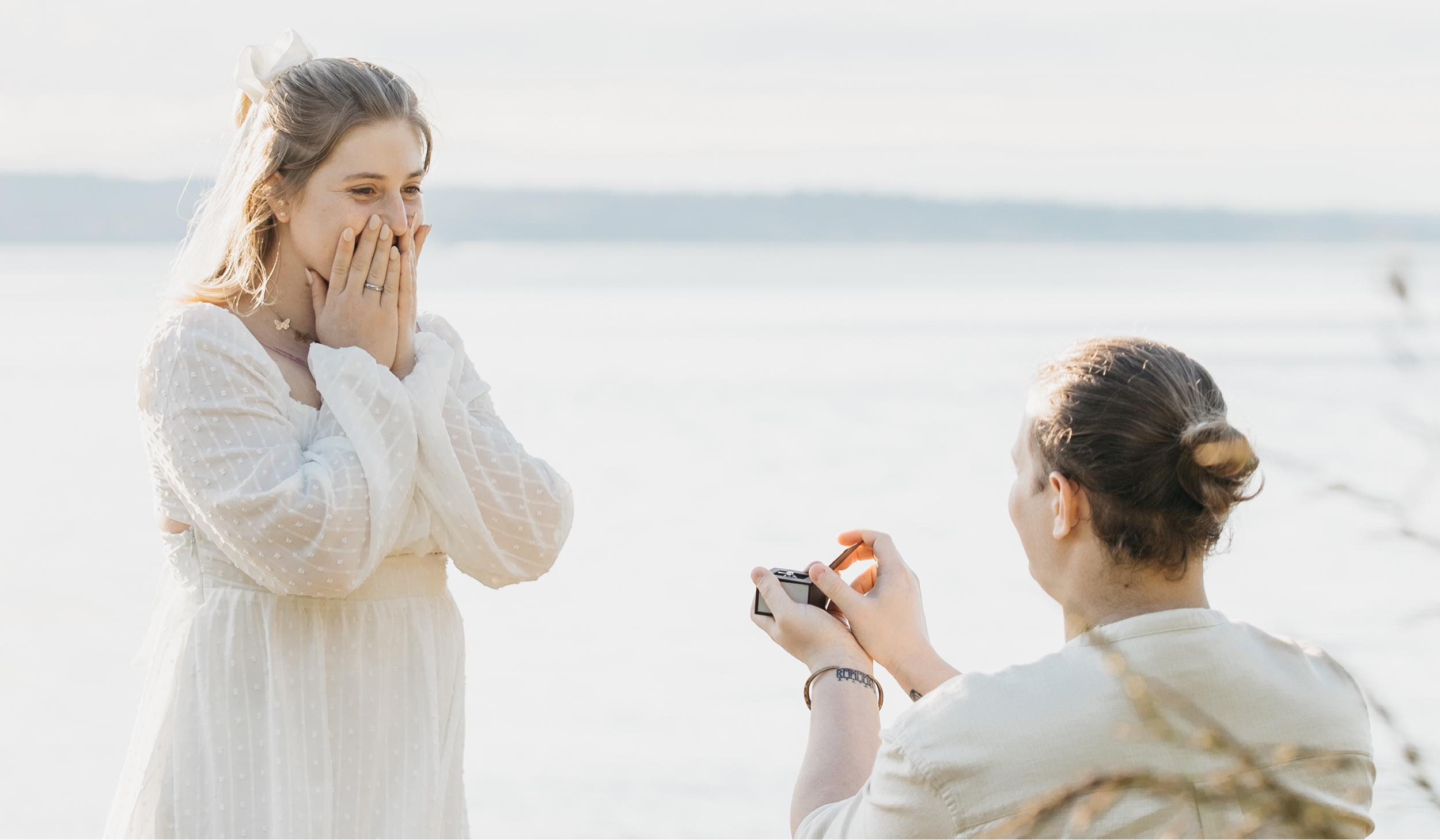 The Wedding Website of Sierra Lewis and Prahlad Bethell Collen