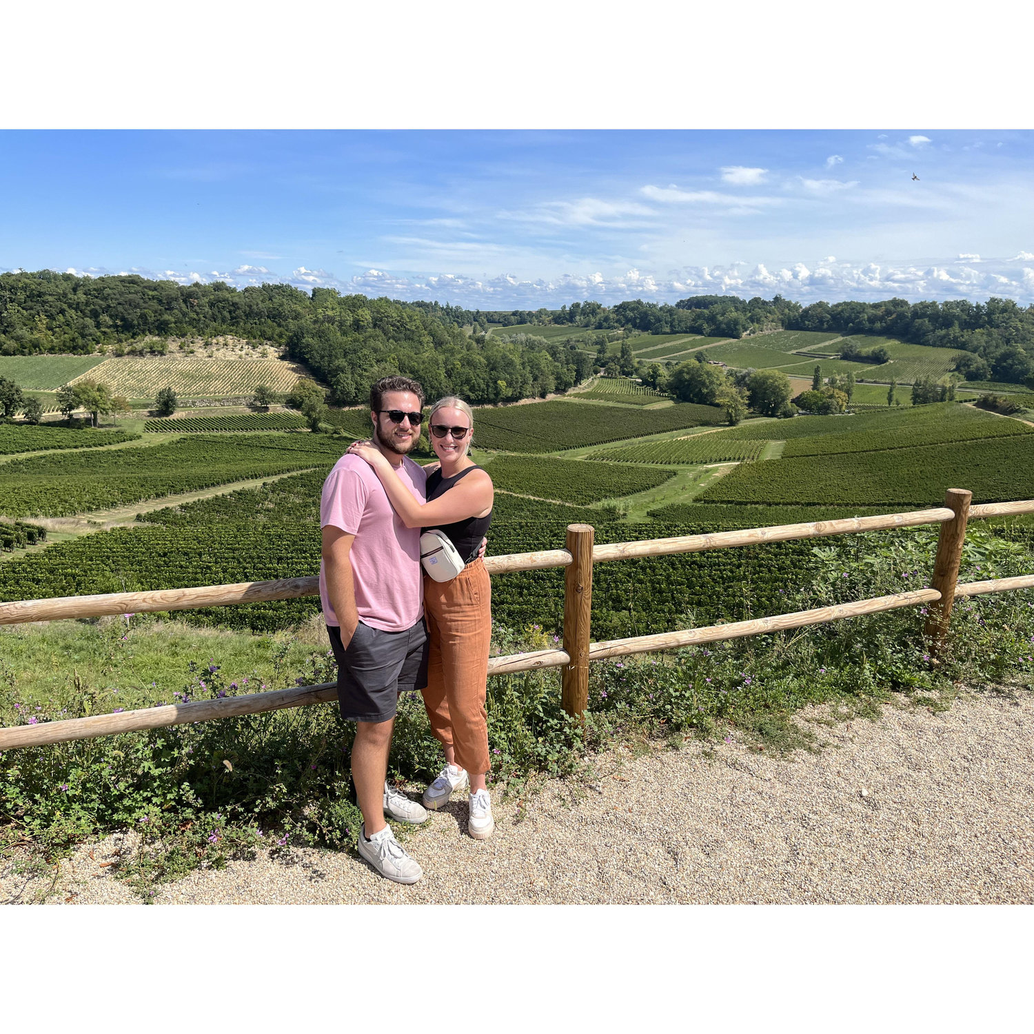 Vineyard in Bordeaux, France