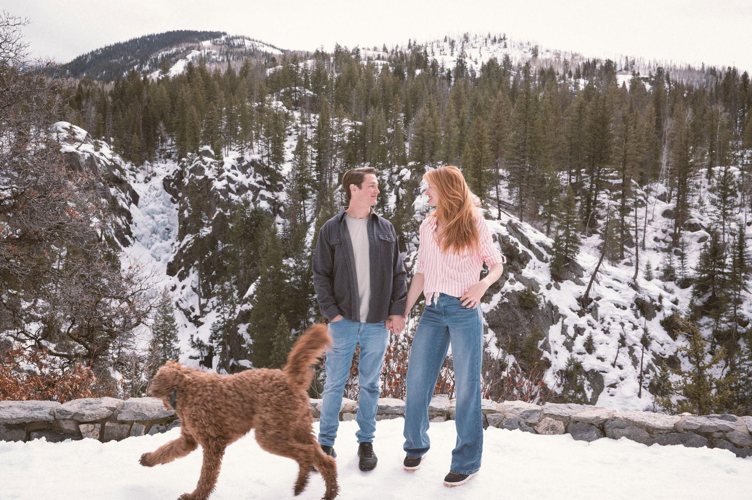 The Wedding Website of Courtney Graf and Jess Bluth