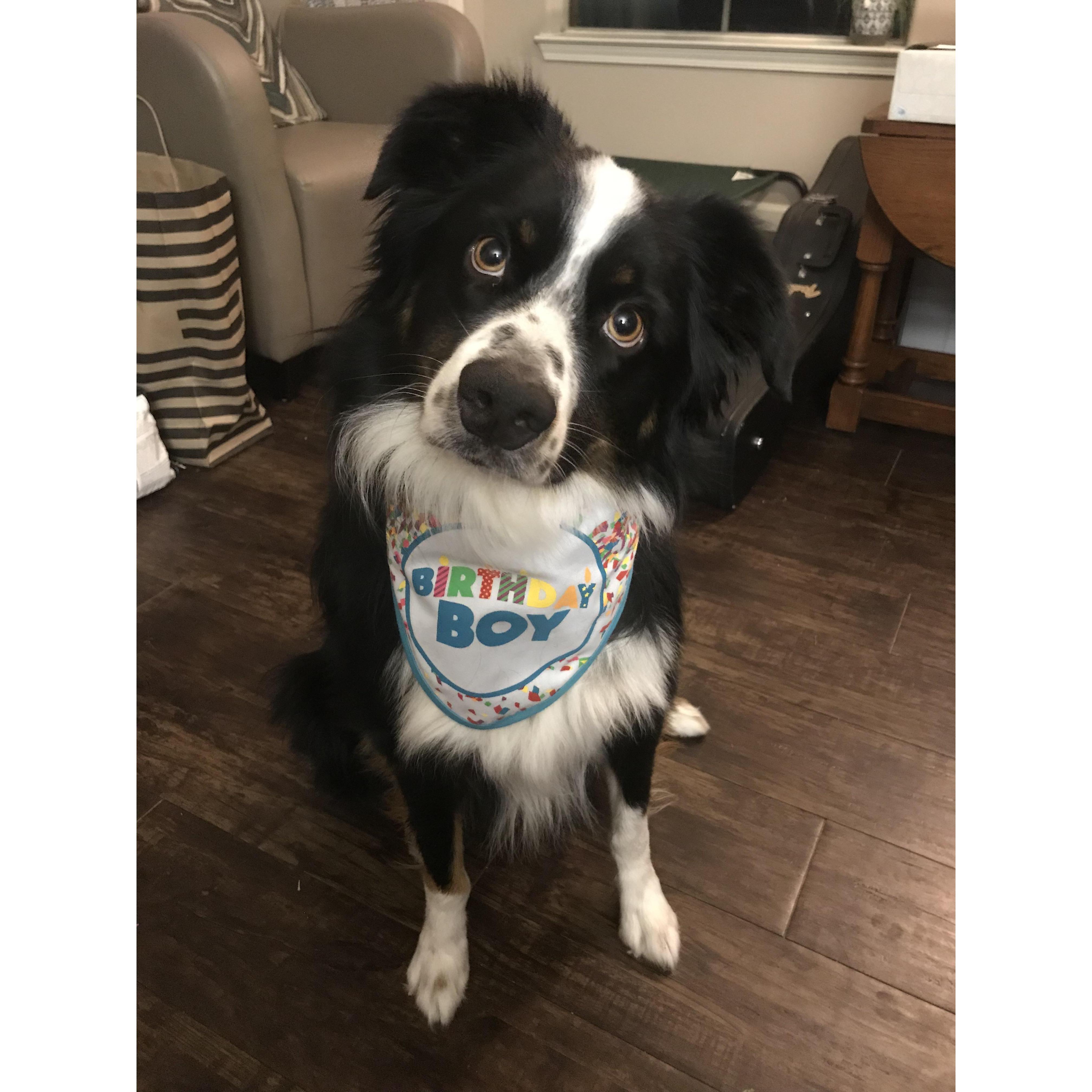 Link's second birthday!