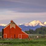 Longmont