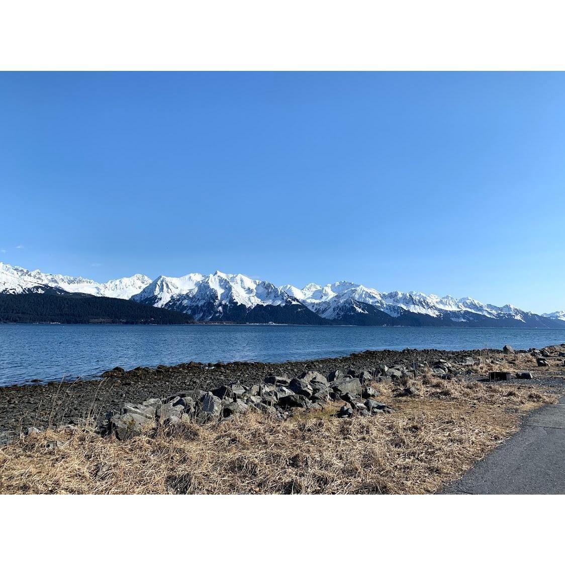 A Sunday trip to Seward!