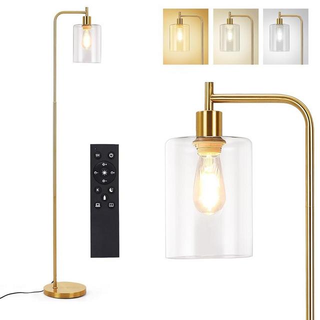 Litake Industrial Floor Lamp, Dimmable Modern Standing Lamp with Clear Glass Shade, Gold Tall Lamp with Remote & Foot Control, LED Bright Corner Lamp with 6W Bulb for Living Room Bedroom Office