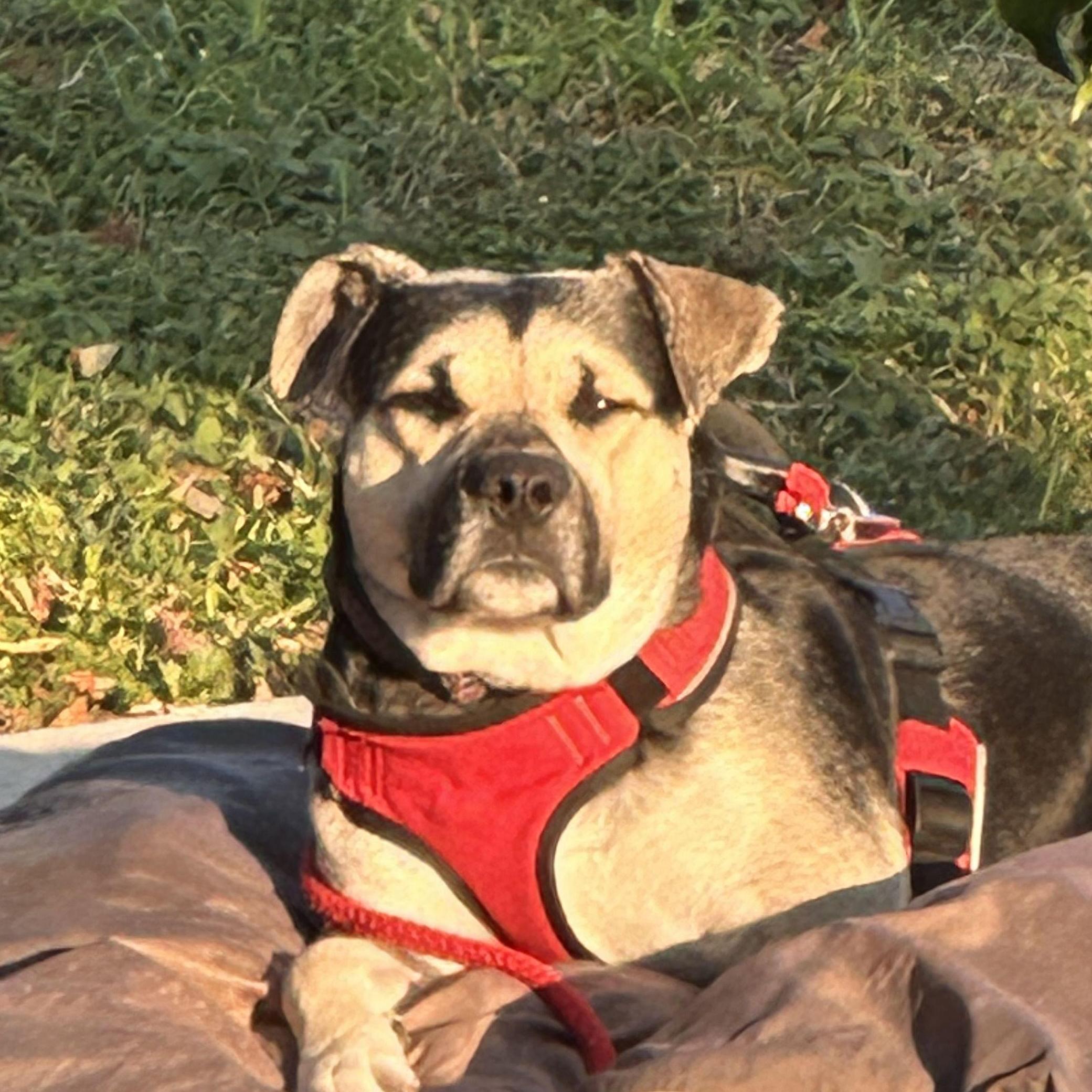 The light of our lives