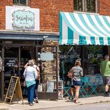 Sassafras on Sutton