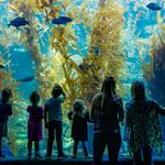 Birch Aquarium at Scripps Institution of Oceanography