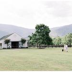 King Family Vineyards