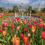 Lewis Ginter Botanical Garden
