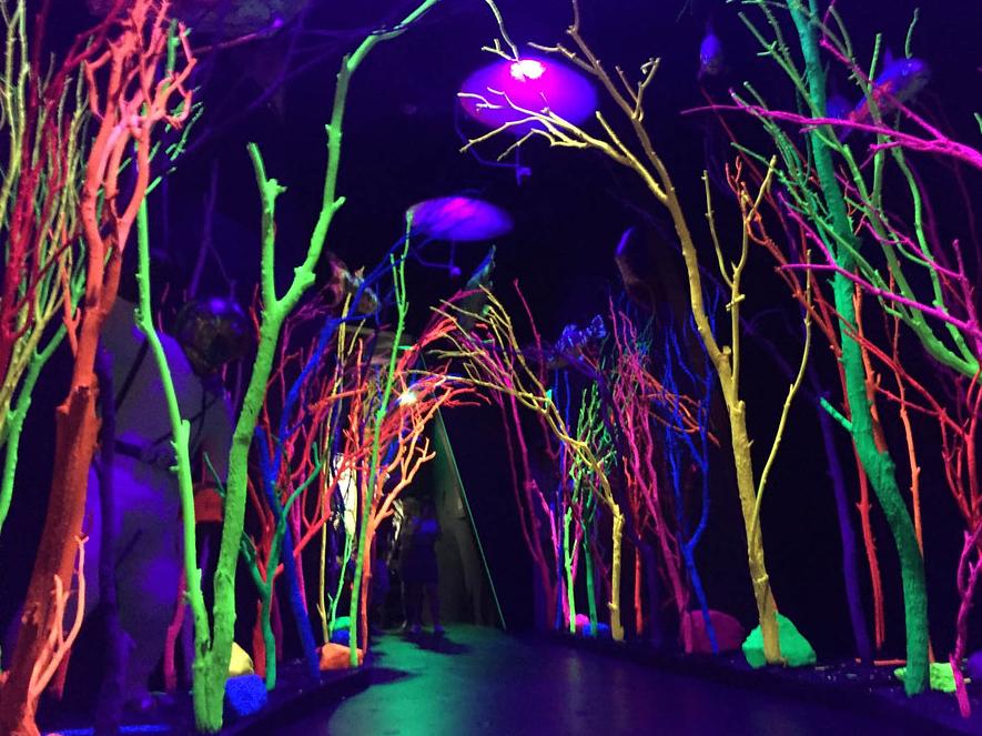 Meow Wolf Museum Tickets