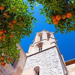 Valencia