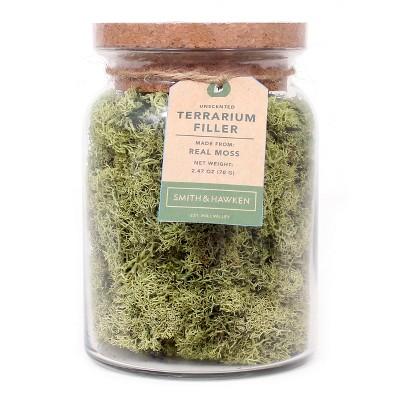 Decorative Moss Filler - Smith & Hawken&#153;