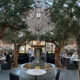 RH Restaurant at RH Yountville