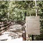 Saunders-Monticello Trail