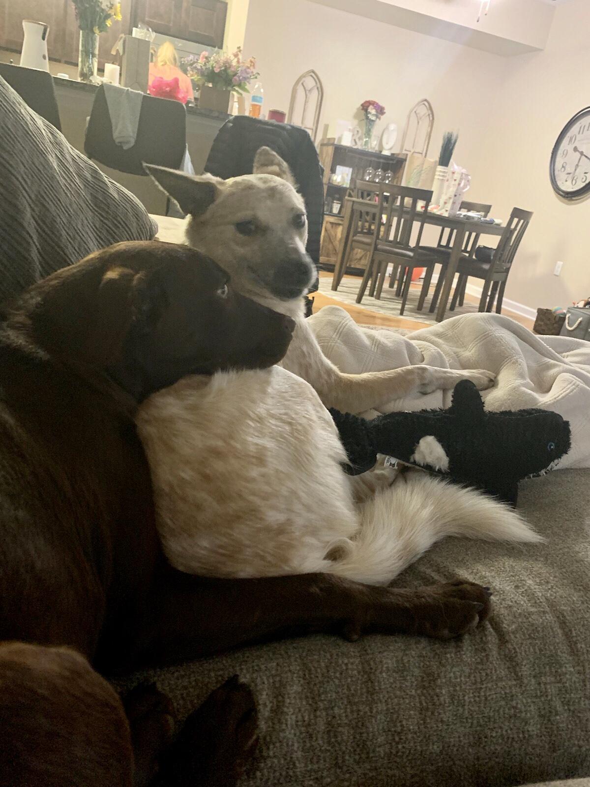 BFFs