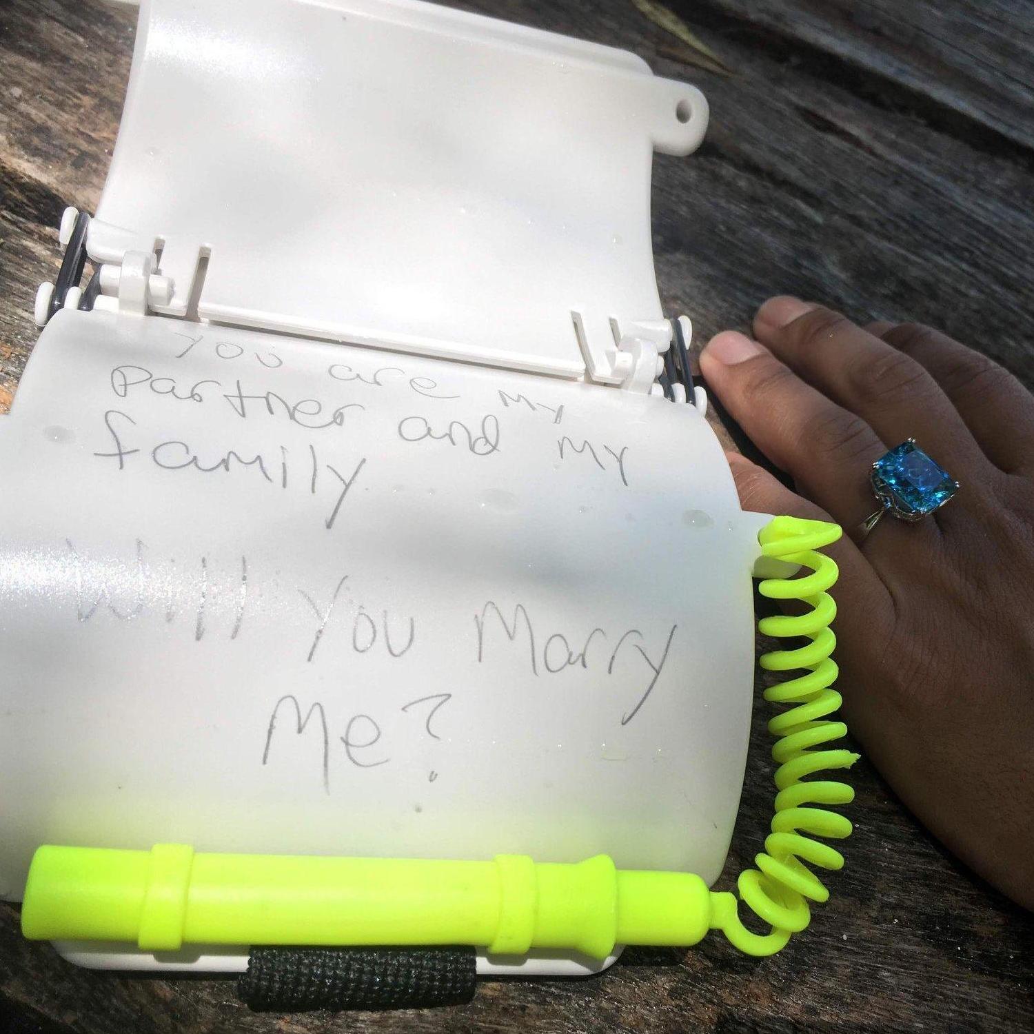 The proposal.