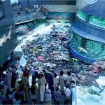 National Aquarium