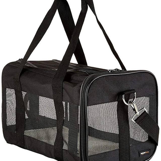 AmazonBasics Soft-Sided Mesh Pet Travel Carrier