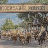 Fort Worth Stockyards