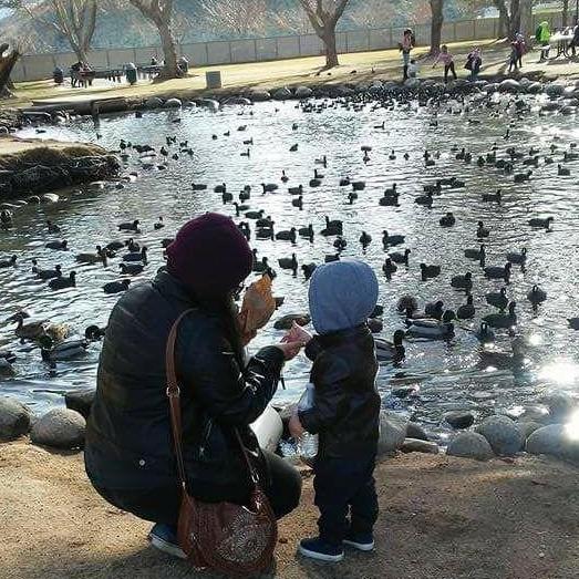 Orion and mommy feeding the ducks at Hesperia Lakes.