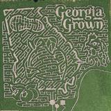 Uncle Shuck's Corn Maze and Pumpkin Patch