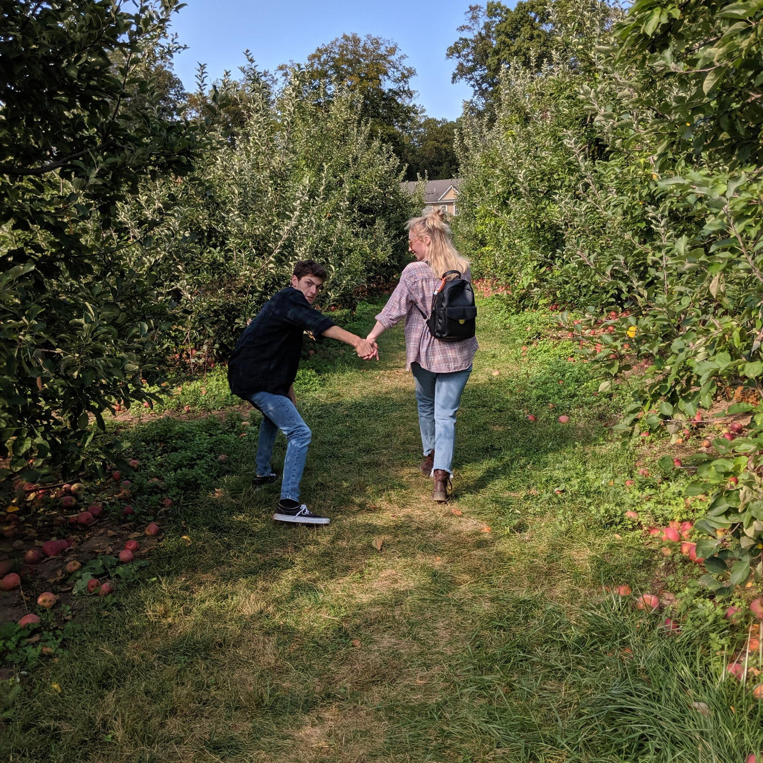 Apple picking 2019