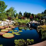 Denver Botanic Gardens