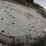 Dinosaur Ridge