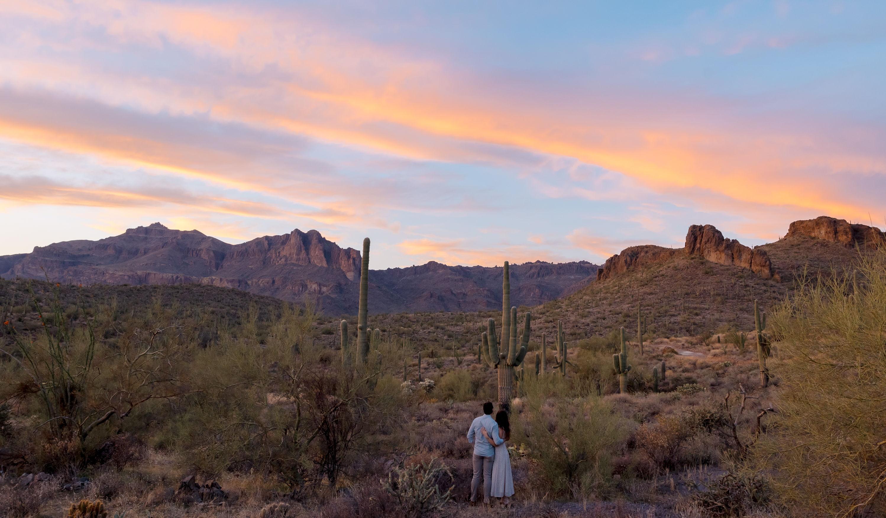 Hero Slideshow Image 0