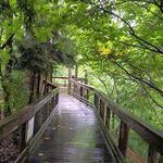 Western North Carolina Nature Center