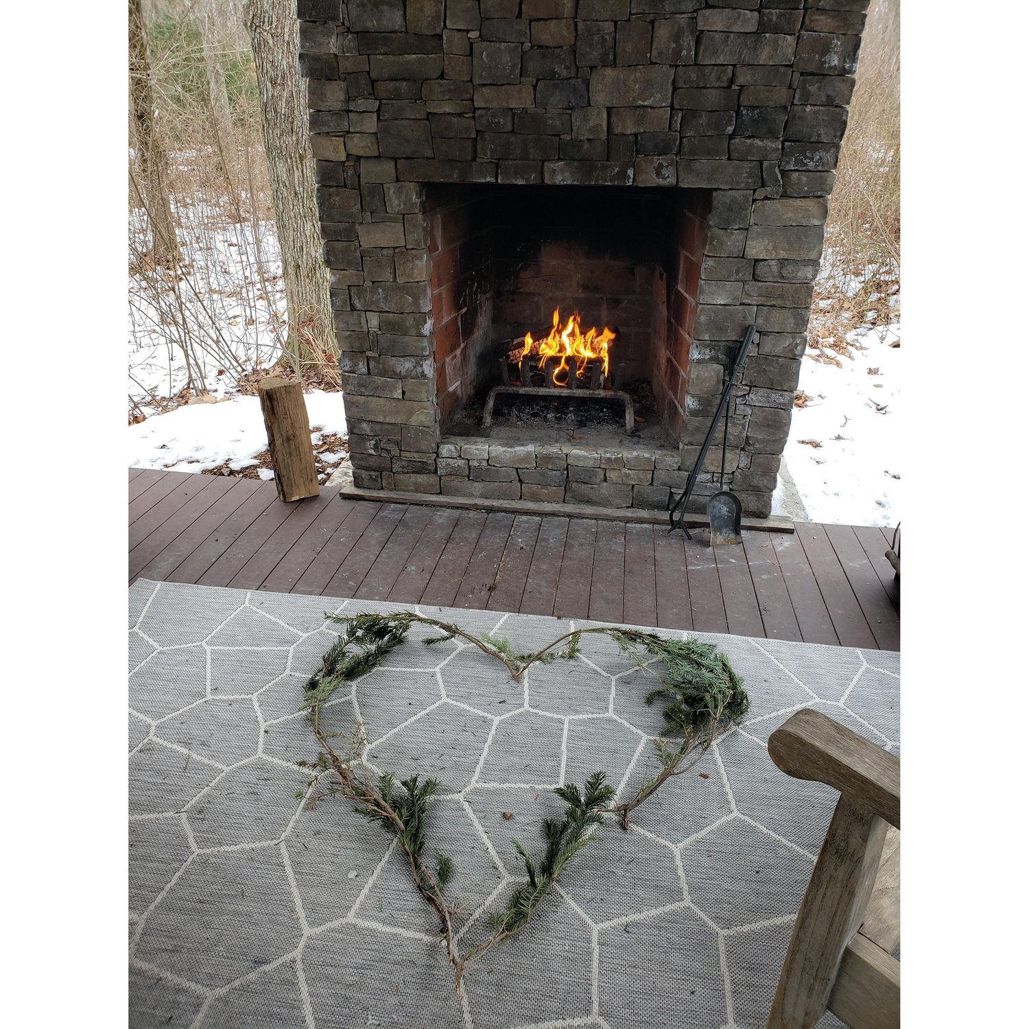 Rory sets the stage for the proposal (not pictured: bird seed scattered everywhere, and yet no birds)